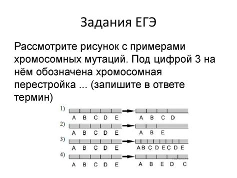 Определение мутации