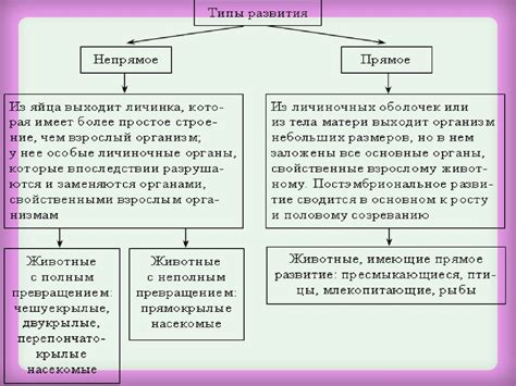 Определение непрямого развития