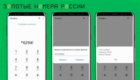 Определение номера 919 по оператору и региону