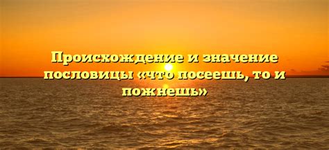 Определение пословицы "что посеешь, то и пожнешь"