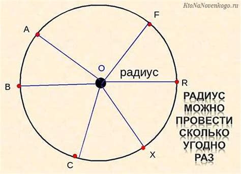 Определение радиуса в математике