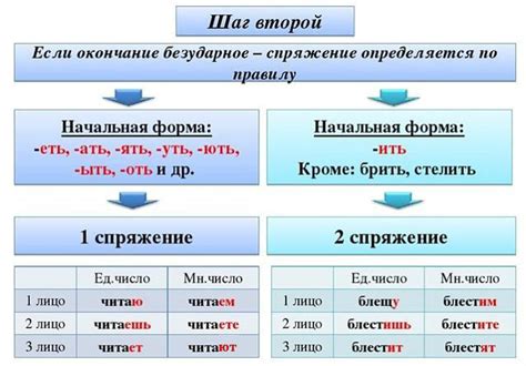 Определение спряжения глаголов