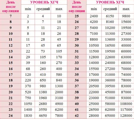 Определение срока сдачи ХГЧ после овуляции для точного результата