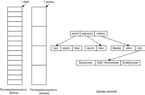 Определение файла и его структура