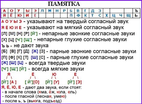 Определение фонетики и ее роль в русском языке