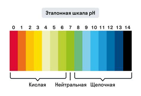 Определение pH оснований: как измерить кислотность