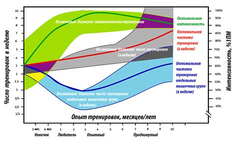 Оптимальная длительность и интенсивность беговых тренировок