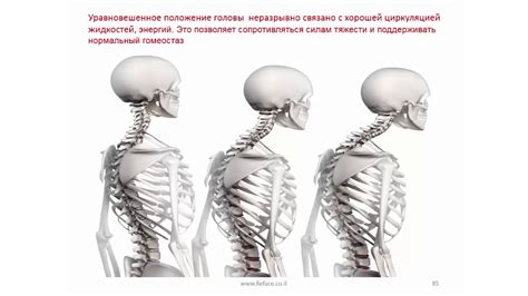 Оптимальное расположение головы