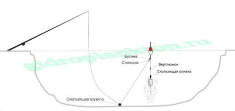 Оптимальные места для ловли толстолобика на Рефтинском водохранилище