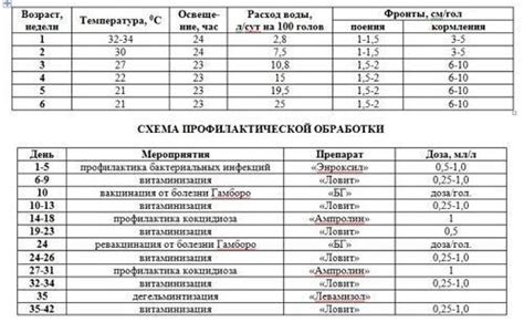 Оптимальный объем воды и время пропойки для индюшат