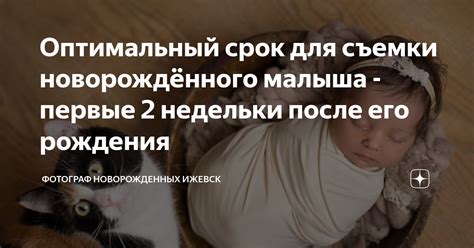 Оптимальный срок после родов для комфортного визита