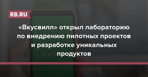 Организация и проведение пилотных проектов