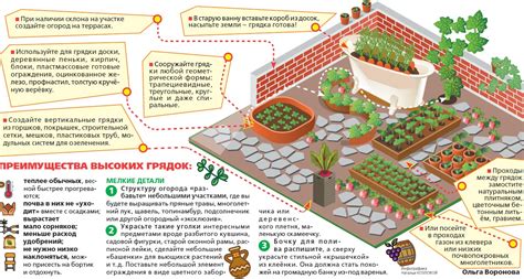 Организация посева и посадки растений