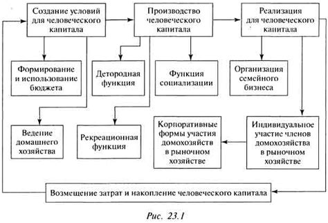 Организация слаженной работы домашнего хозяйства