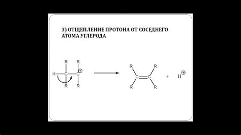 Органическая и минеральная частицы