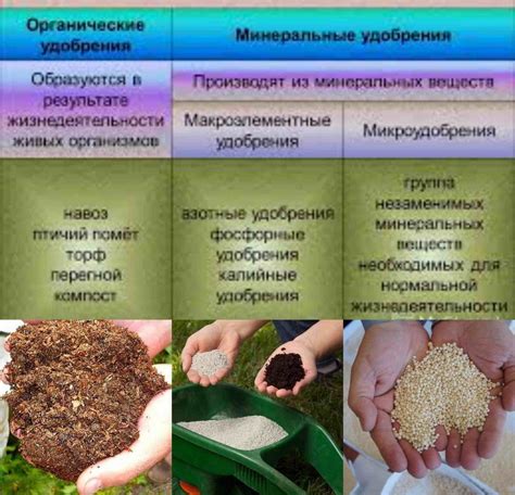 Органические удобрения для содержания плодородия почвы