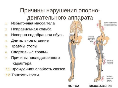 Осмотр позвоночника и опорно-двигательной системы