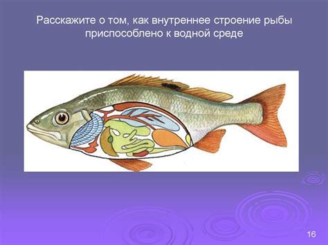 Осмысление символа: скрытые значения присутствия рыбы в водной гуще