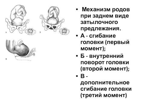 Основные аспекты затылочной вставки при родах