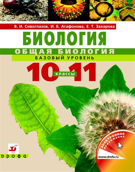 Основные аспекты раздражимости в биологии 10 класс