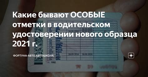 Основные возможности отметки в парке