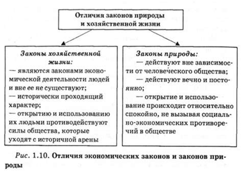 Основные категории экономических законов