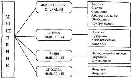 Основные особенности логического мышления