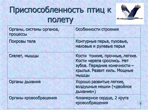 Основные особенности птиц