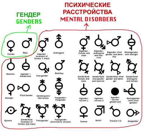 Основные понятия гендера и пола