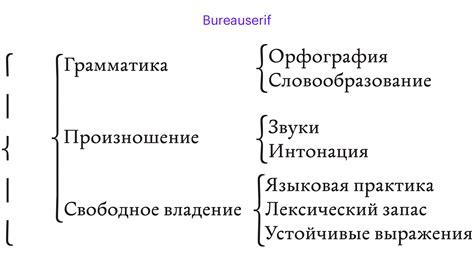 Основные правила использования скобок в русском языке