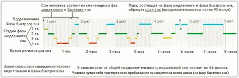 Основные признаки сна, связанного с феноменом шжг-1 ый: как правильно его расшифровать