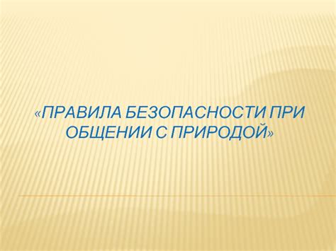 Основные принципы безопасности при общении с дикой природой