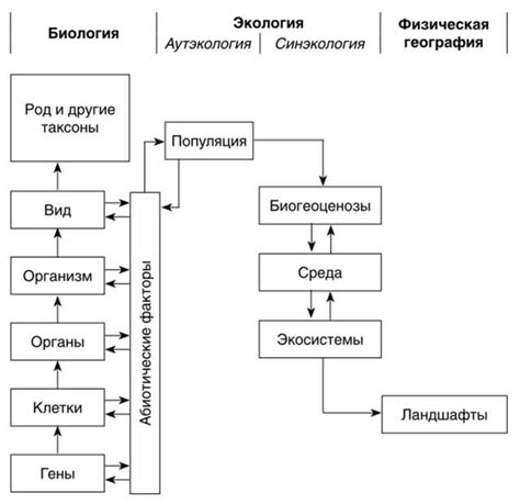 Основные принципы классификации организмов