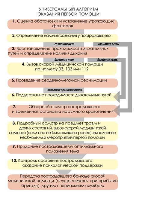 Основные принципы натурализации