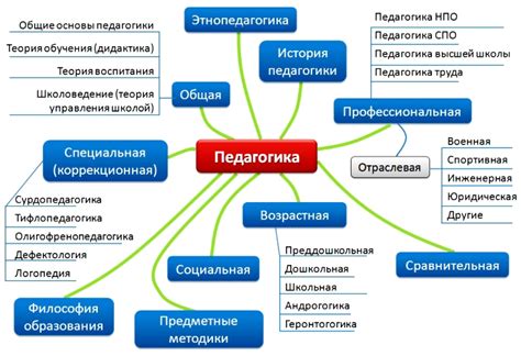 Основные принципы педагогической науки