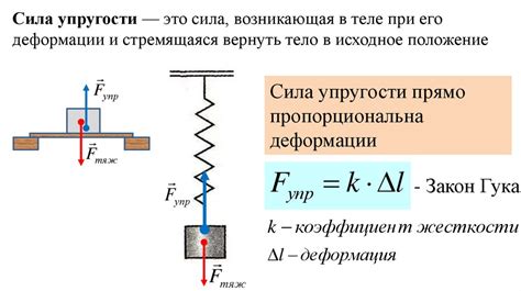 Основные принципы работы силы упругости