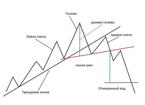 Основные принципы трейдинга и понятия голова и плечи