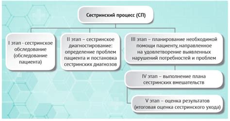 Основные принципы ухода за эдакими грациозными героями