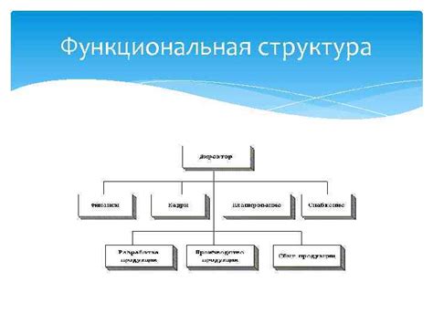 Основные различия между структурой организации и структурой управления