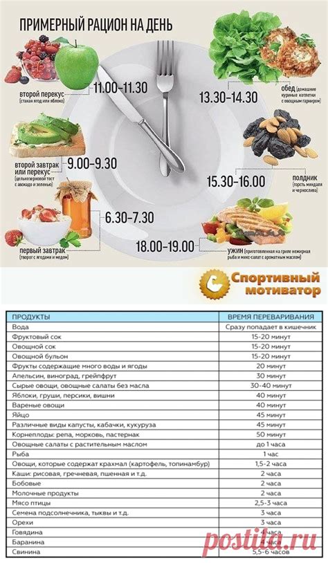 Основные факторы, влияющие на количество калорий, которые тратит организм