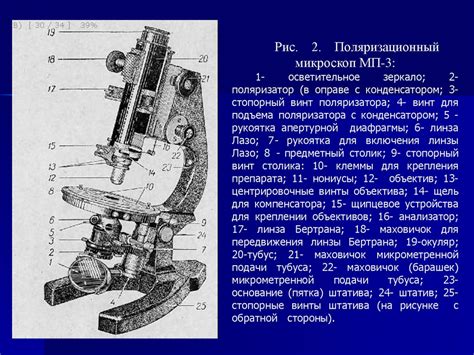 Основные функции зрительной трубки микроскопа