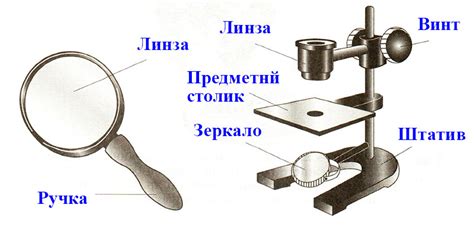 Основные функции тубуса в микроскопе