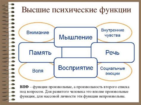 Основные характеристики высших психических функций