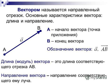 Основные характеристики отрезка