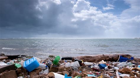 Основные этапы решения проблемы при попадании воды в жилую площадь