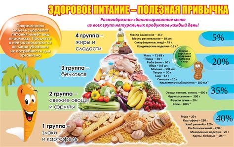 Основы здорового рациона без мяса