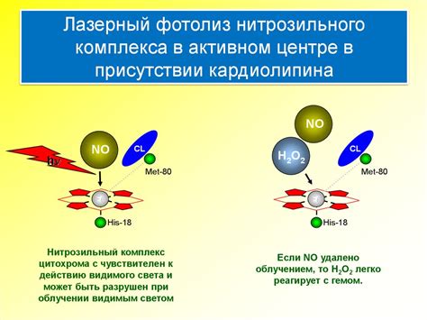 Основы молекулярного движения и свободные радикалы