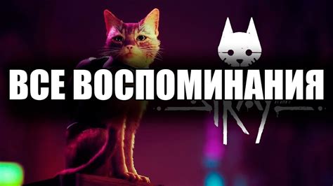 Особая ценность воспоминаний Stray