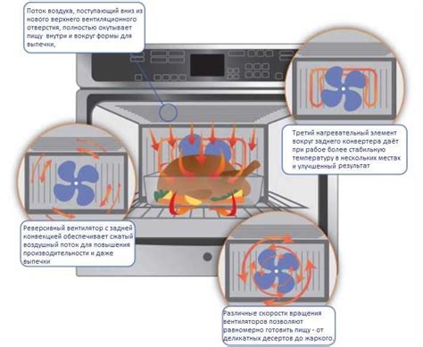 Особенности работы конвекционной духовки