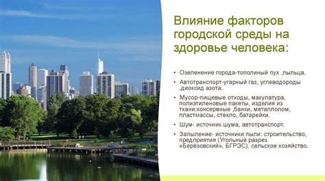 Особенности рынка недвижимости в городах и сельской местности